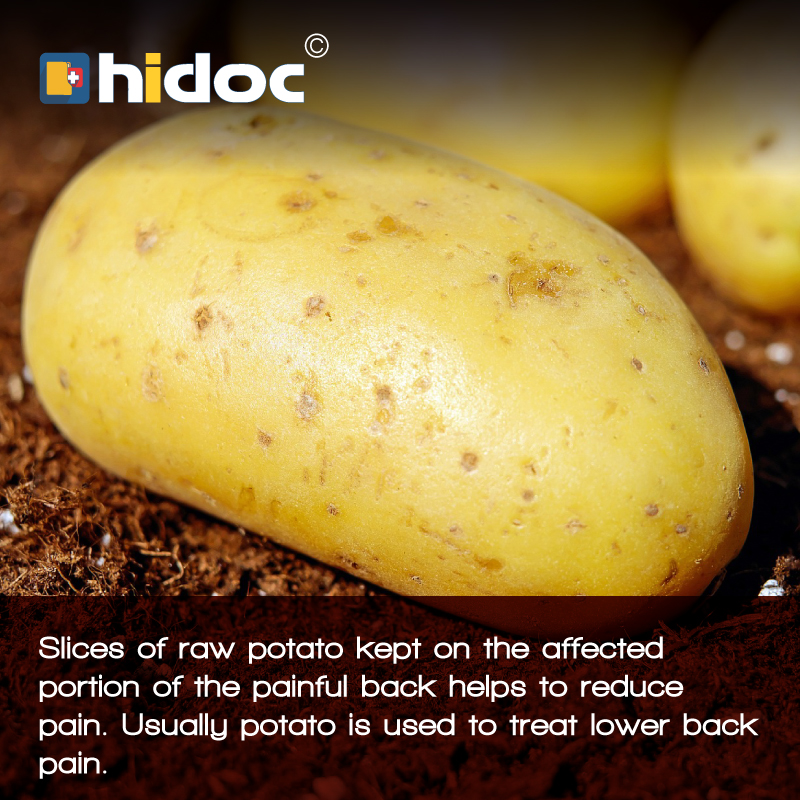 Health Tip - Slices of raw potato kept on the affected portion of the painful back helps to reduce pain. Usually potato is used to treat lower back pain.