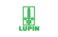 lupin